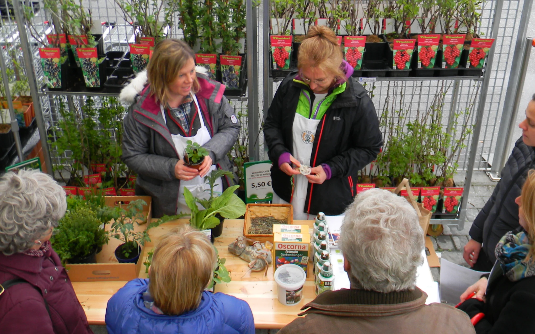 Elisabeth_Christine_Brixen 2.JPG